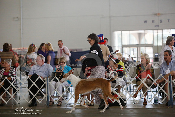 _JJ_2668-DallasJul2014-HR3