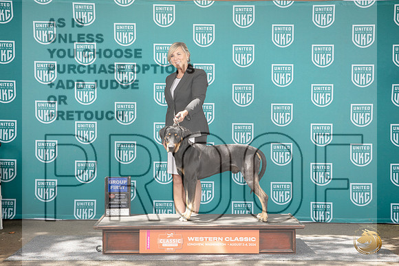 Catahoula #286 Fri G1 Judge Kathrine Short__JP_1186_Longview WA_2024_HR3