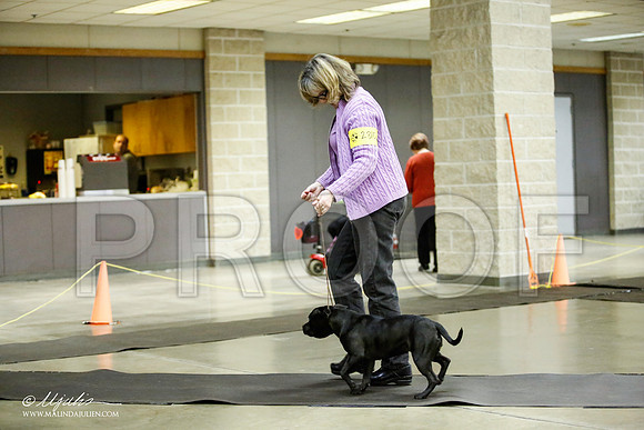 _JJ_6016-BeltonJan2015IABCA-HR3