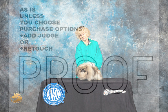 Pekingese Sat Custom_MJ_0270_HstnTOY_2022_HR3