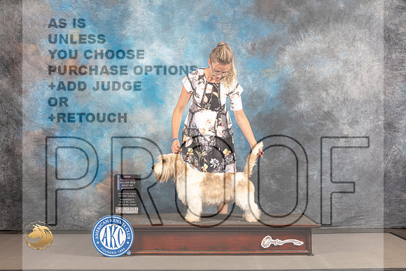 PBGV #7 WED BOW WD NCH Judge Richard Nance_MJ_1863_Houston_2022_HR3