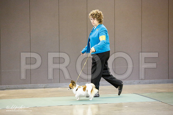 _JN_5739-BeltonJan2015-HR3
