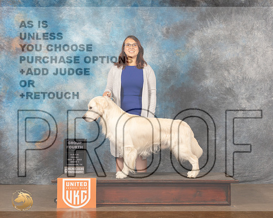 Golden Retriever #112 Fri1 G4 Judge Michelle BlackowlMMJ_6109_Lngvw2022HR3