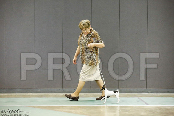 _J3L9258-BeltSep2014-HR