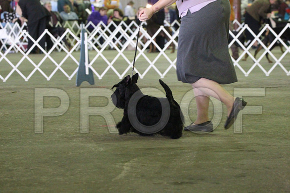 MJS_6047