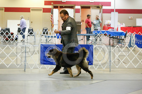 _JJ_9731-AmarilloSept2014-HR3