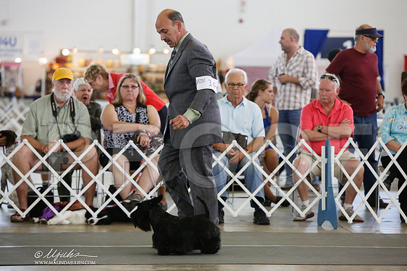 _JJ_2077-DallasJul2014-HR3