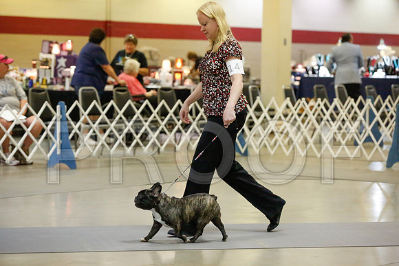 _JJ_8894-AmarilloSept2014-HR3