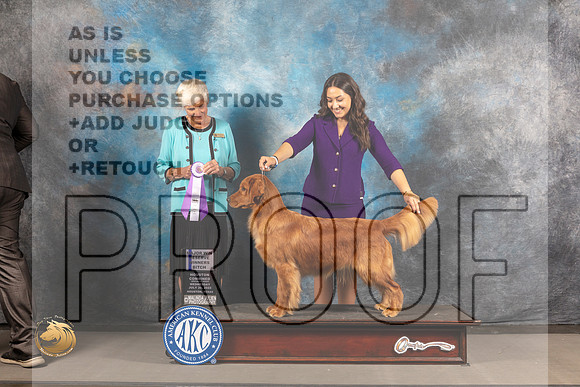 Golden Retriever #64 Wed RWB Judge Pluis Davern_MJ_2980_Houston_2022_HR3