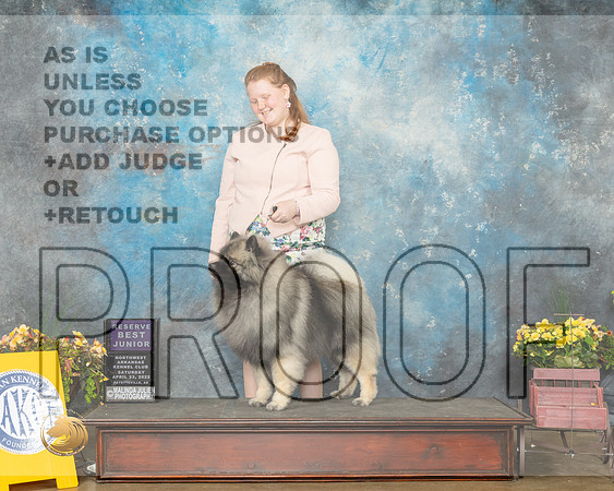 Keeshond #J19 RBJr Judge James Fehring-MMJ_0885-NWARK2022-HR3