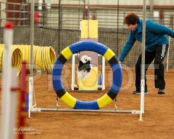 StdEx8-3062