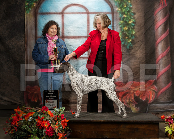 _ST_7076-NrmnNov2014-HR3
