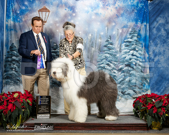 _ST_9336-DallasDec2014-HR3
