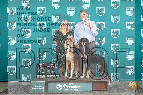 Saluki #879 880 Thur T10BOB AOE Judge Deborah Allen__JP_0809_Premier_2024_HR3