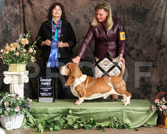 basset-3565-DntnMar14-HR3