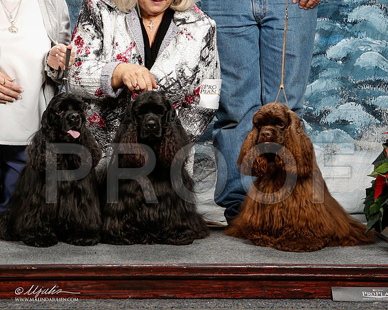 _ST_8915-2-DallasDec2014-HR3