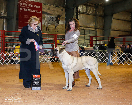 _RH_8897-2-GlenRoseJan2015-HR3