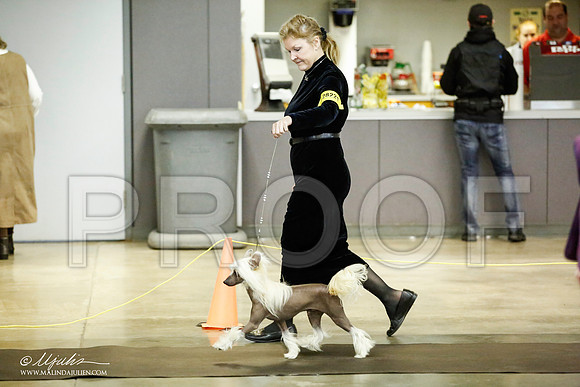 _JJ_5331-BeltonJan2015IABCA-HR3