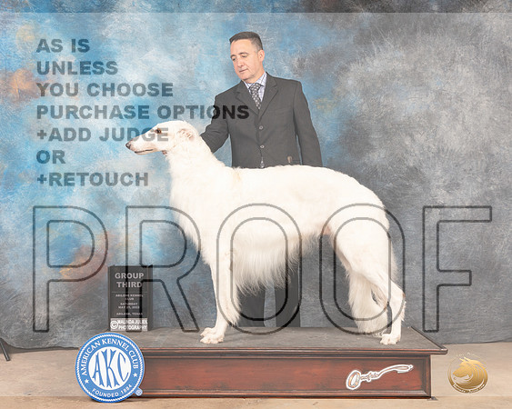 Borzoi #7 Sun G3 Judge Eric Liebes-MMJ_4729-Abilene2022-HR3