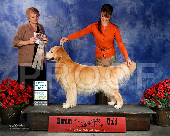 Vet-7425-WFOct2013-HR