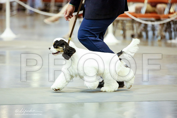 _JN_6390-HstnJul2014-HR3