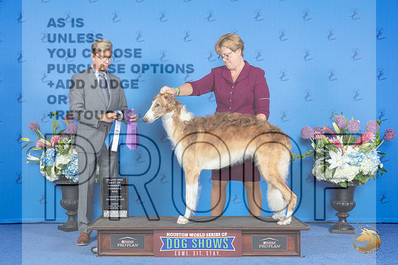 Borzoi #19 FRI WD BW M Judge Douglas Johnson__JP_8955_Houston_2024_HR3
