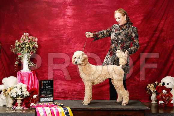 _ST_3034-2-BeltonJan2015IABCA-HR3