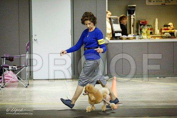 _JJ_5525-BeltonJan2015IABCA-HR3