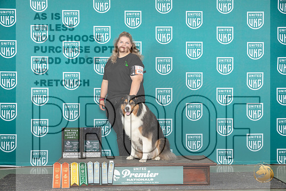 English Shepherd #477__JP_2988_Premier_2024_HR3