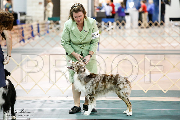 _JJ_6946-ASCACollegeStationNov2014-HR3