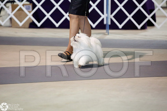 _JJ_3685-SanAntonioJul2014-HR