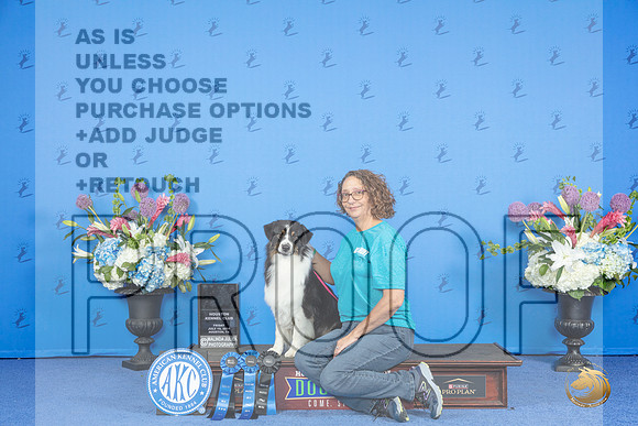 Australian Shepherd #10 THUR NTR HIC Judge __JP_9455_Houston_2024_HR3