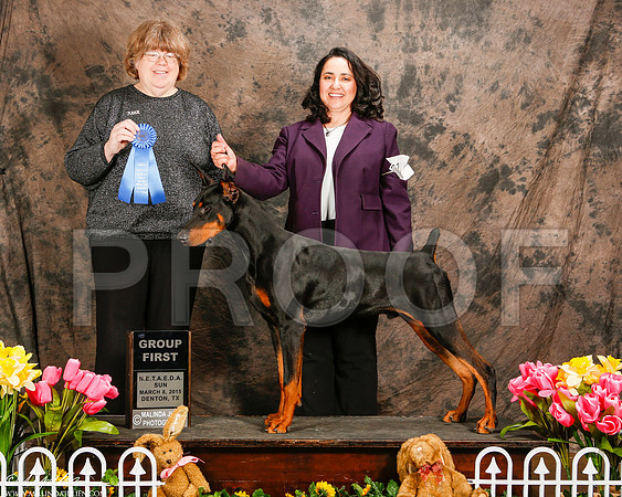 _ST_3854-2-DentonMar2015-HR3