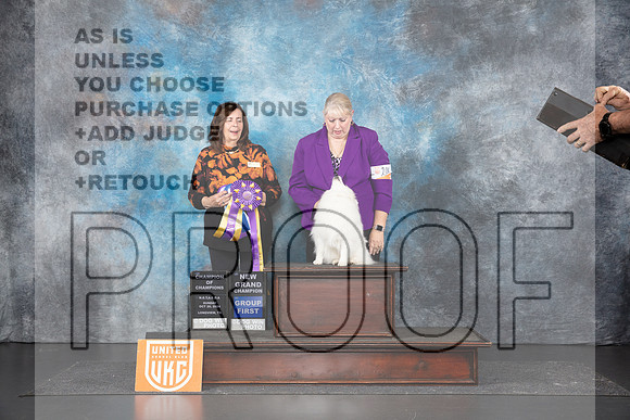 American Eskimo #200 Sun RBIS Judge Sandra Phillips__JP_1514_UKCLNGVIEWOCT2024_2024_HR3