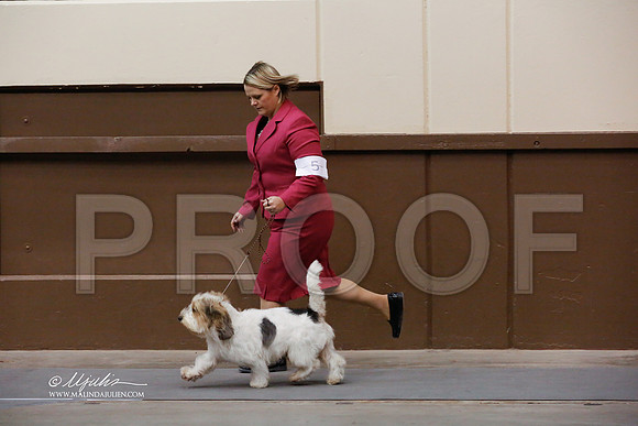 PBGV-4620-SANov13-HR