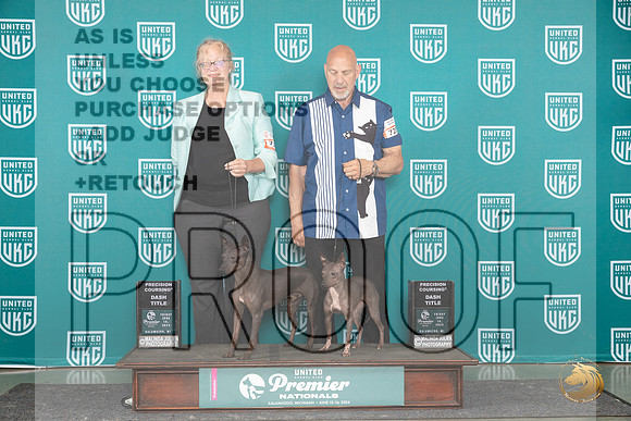 American Hairless Terrier #719 #720 Fri DASH Titles Judge Cindy Sanders__JP_2878_Premier_2024_HR3
