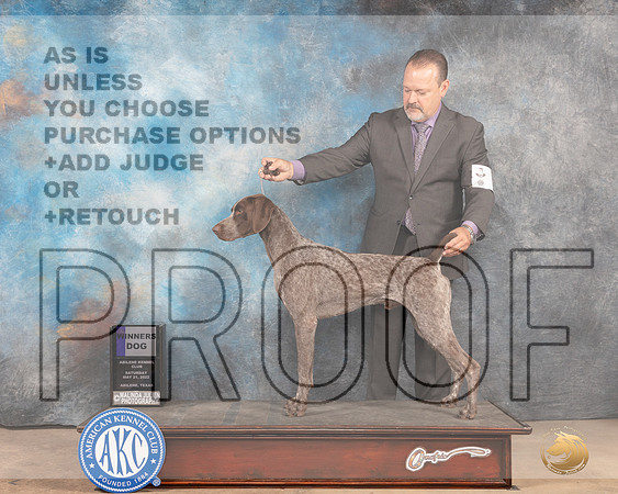 German Shorthaired Pointer #9 Sat WD Judge Eric Liebes-MMJ_4042-Abilene2022-HR3