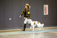 Best in Show Altered Sat S2
