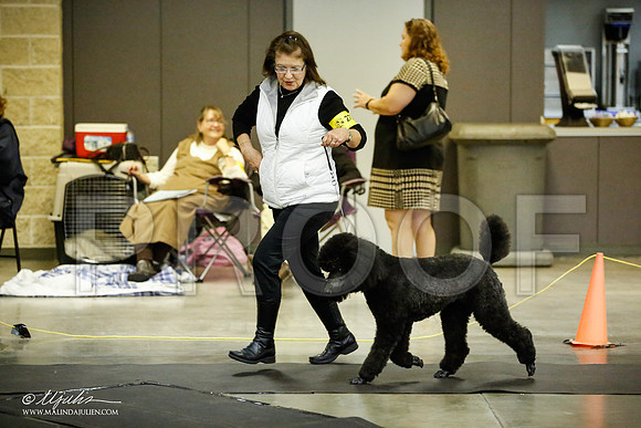 _JJ_5807-BeltonJan2015IABCA-HR3