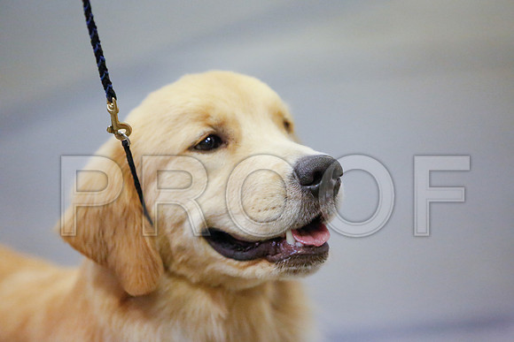 _JJ_7080-AmarilloSept2014-HR3