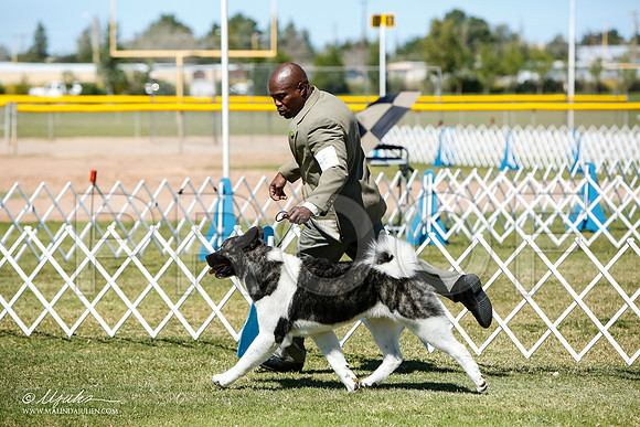 _J3L4018-AlamogordoOct2014-HR3