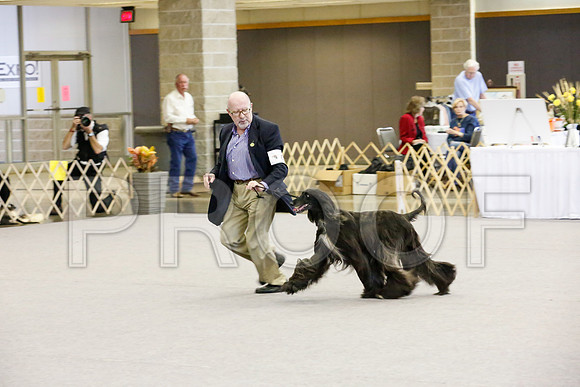 _JJ_2184-AfgBeltonOct2014-HR3