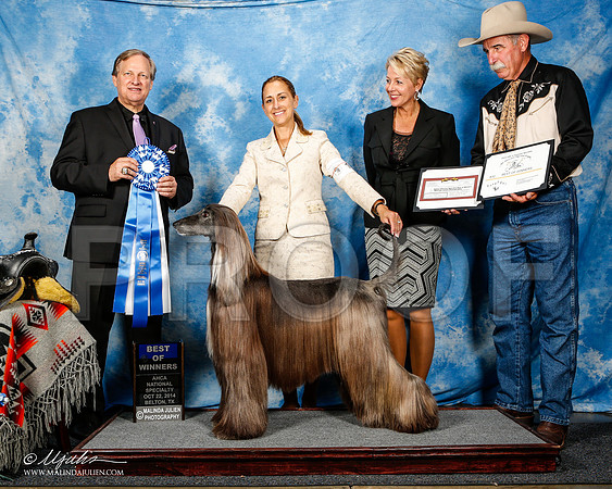 _ST_4594-2-AfgBeltonOct2014-HR3