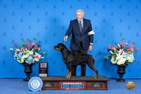 Rottweiler #18 SUN BOS Judge Ronald Freeman