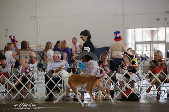 _JJ_2669-DallasJul2014-HR3