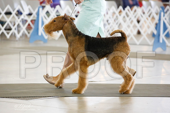 _JN_5140-DallasJul2014-HR3