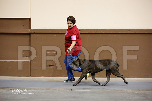 Cane-2275-SANov13-HR