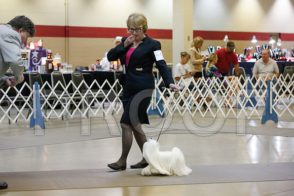 _JJ_1583-AmarilloSept2014-HR3