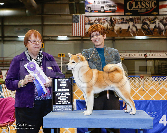 _MJ_5202-2-GlenRoseJan2015-HR3