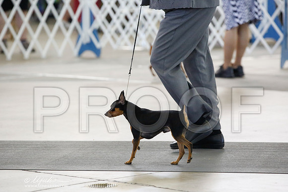 _CK_0476-DallasJul2014-HR3
